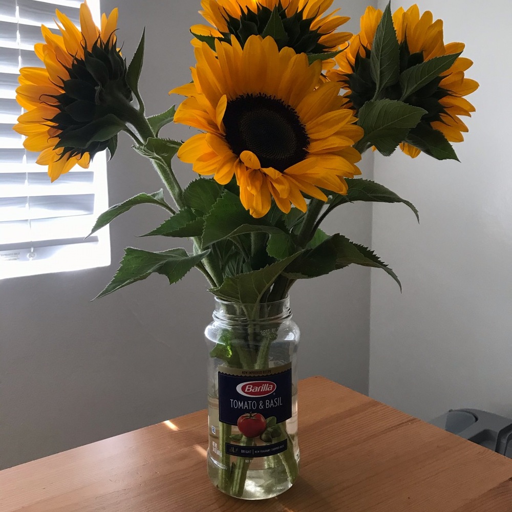 Meet your Posher, Mary